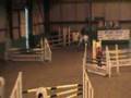 Joey Showjumping in Broadmeadows