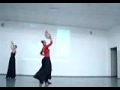 Flamenco semana de Educação