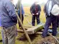 Raising a Menhir