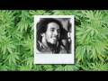 videos de Anti-Marijuana