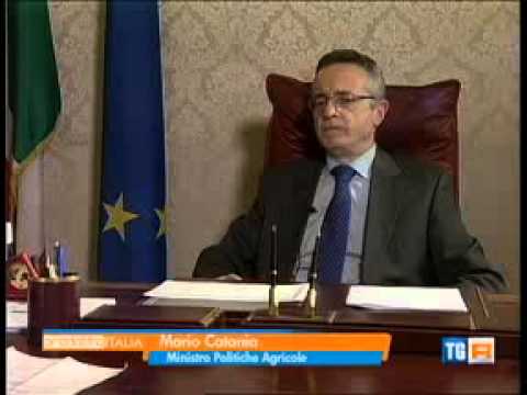 Guarda il video Guarda il video