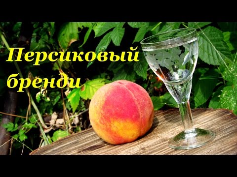 Как сделать свое вино из персика Как сделать свое вино из персика