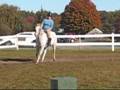 Buster jumping