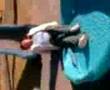 NARCE SE CAE