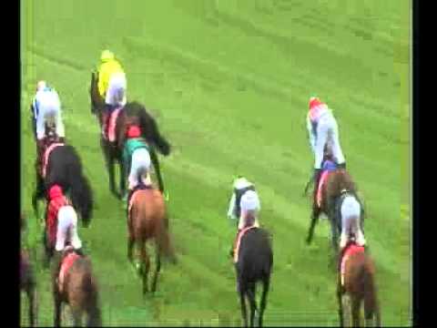 racing results cheltenham