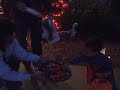 trick-or-treat