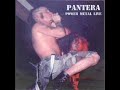 Pantera