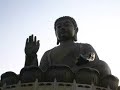 Buddhist Quotes Buddhist Quotes