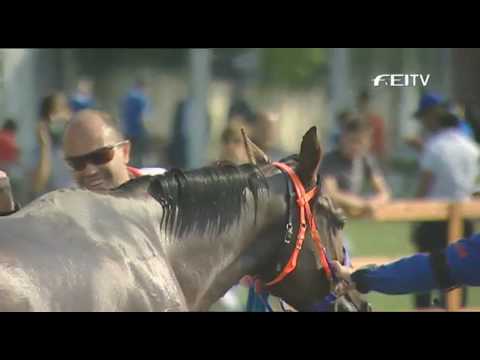 FEI World Endurance Championships 2008