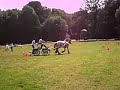 wedstrijd met marathonkoets en boerenpaard