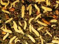 Soil critters
