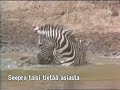 See Video