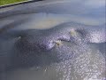 Click here to watch this video burst pipe pics.wmv