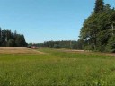2143 mit G�terzug im Waldviertel