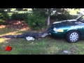 Alligator Bites Police Car
