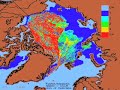 Denialists continually try to confuse the issue of northern polar ice caps. Here are the facts from the National Snow and Ice Data Center.