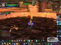 2vs2 Arena Mage Pally