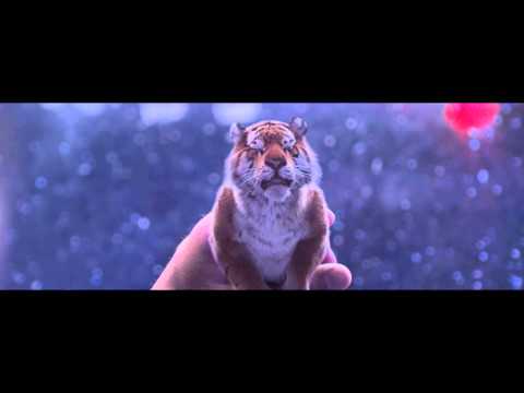 Tiger: Bierz przykład z Tygrysa