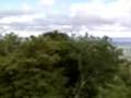 zetans tree-planting video video 1of3