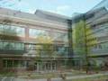 Warwick University Life - Orientation Week Impression