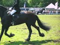 friese paarden dag 3