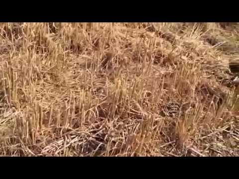 how to drain a field uk