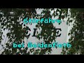 Störfähre ELSE bei Beidenfleth
