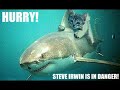 klayworld-cat.html