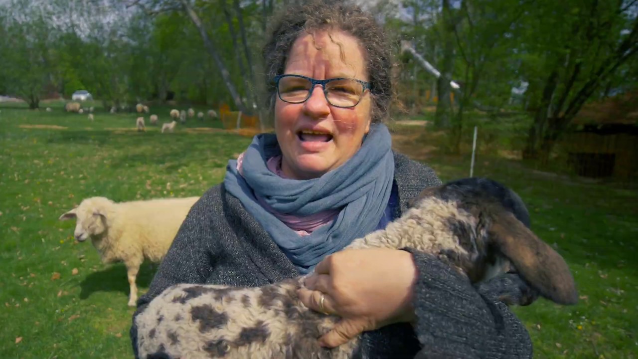 Psalm 23 zum Hirtensonntag