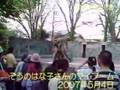象のはな子さん:YouTube閲覧数=1,045回