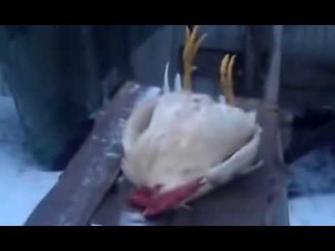 Первая встречная смотреть онлайн фильм