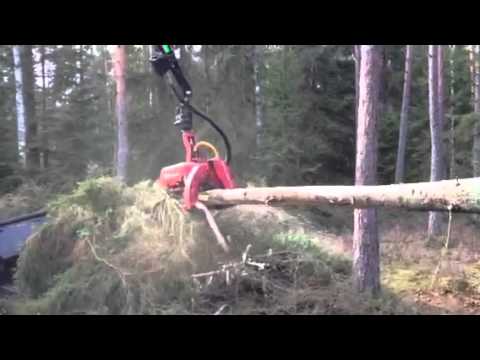 047626800 - Terri 34 skördare vid demodag hos Sydved.