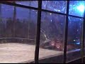 Combots GDC - Sewer Snake v Supermegabyte Combots GDC - Sewer Snake v Supermegabyte