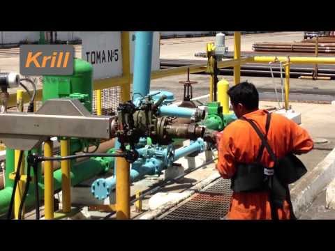 how to measure krill