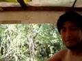 Camino a los cenotes
