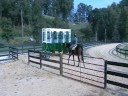 Yearlings train 10/15 Yearlings train 10/15