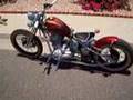 200cc kikker hardknock