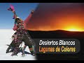 www.internacionaltarija.com