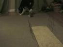 Boardwork 4-23-08