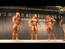 Bodybuilding; Final - 85 kg