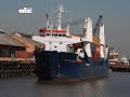 La mafia en Puertos, la punta del iceberg