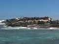 Carlton Hall Video Blog - Seal Island Cape Town South Africa Part 1
