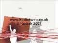 kodiak podcast   episode 5   tak! kodiak są w polsce!