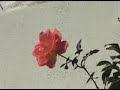 ●こちらの記事と連動しています。http://akaboshi07.blog44.fc2.com/blog-entry-688.html(Ｃ)akaboshi「フツーに生きてるＧＡＹの日常」http://akaboshi07.blog44.fc2.com/