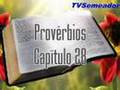 Provérbios - Cap. 28