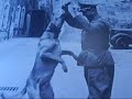 Auschwitz - Birkenau - pomnik szale?stwa i zag?ady Auschwitz - Birkenau - pomnik szale?stwa i zag?ady