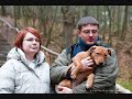 Pit Bull Problem? I Don\