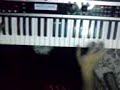 Revontulet Sonata Emmanuel x50