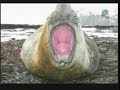 ANTARTIDA HISTORY CHANNEL