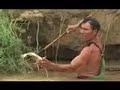 alma indigena